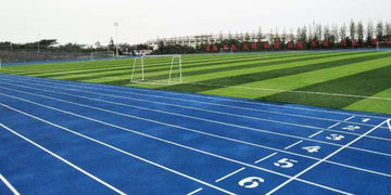 好消息 青岛中小学体育场地设施向社会公众开放